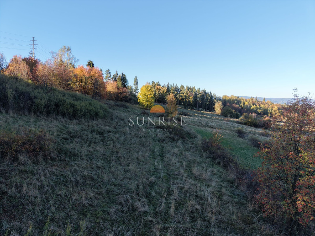 Działka usługowo-turystyczna 1834 m² | Białka - Widok 3