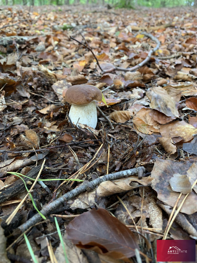 Działki budowlane Bełdów – od 1000 m² | Spokój, natura i świetna lokalizacja - Widok 3