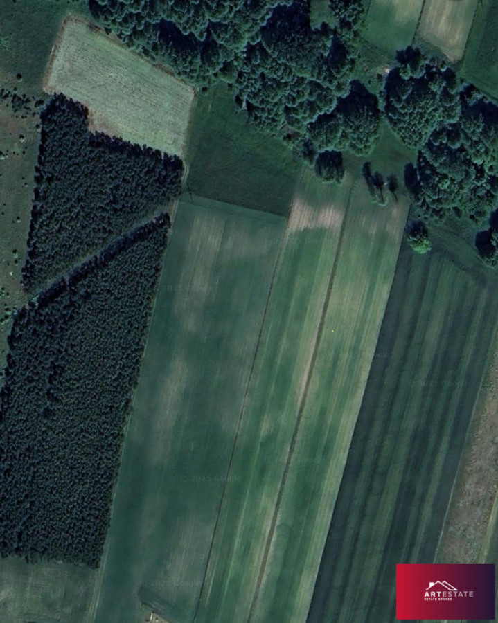 Działki budowlane Bełdów – od 1000 m² | Spokój, natura i świetna lokalizacja - Widok 6