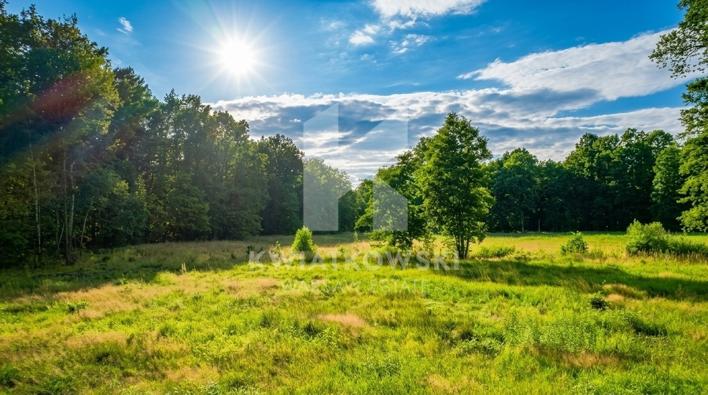 Wiązowna | Las | Świder | Działka budowlana 1248m² - Widok 5