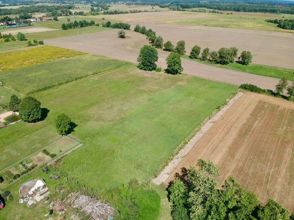 Grabowno Małe | 4825 m² | potencjał inwestycyjny - Widok 3