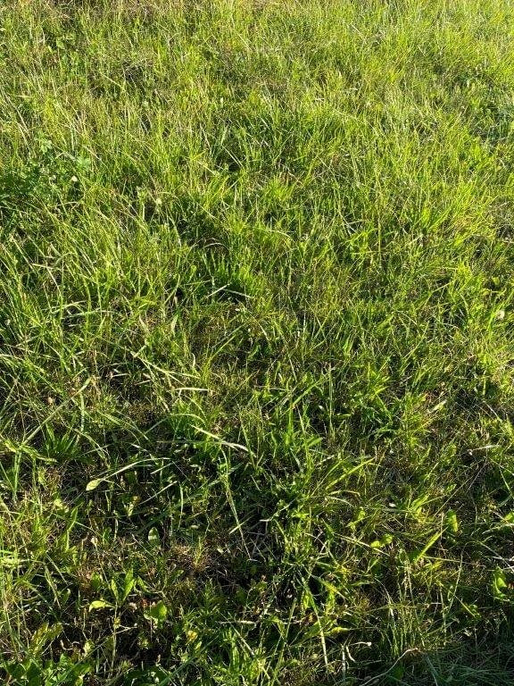 Działka budowlana nad morzem Mielno - Widok 5