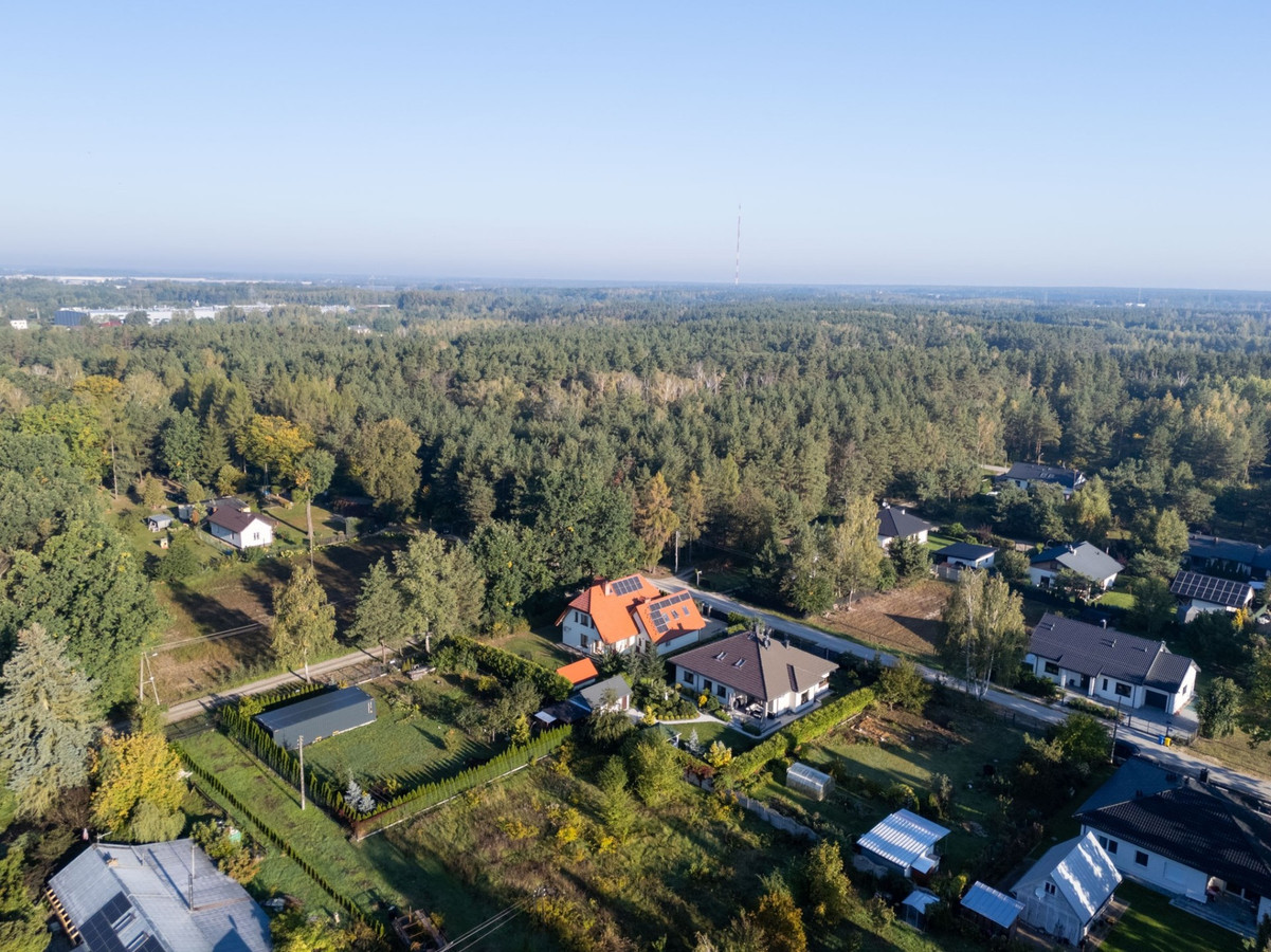 Mieszkowo | MPZP | Blisko trasy S7 | Drzewa i las - Widok 2