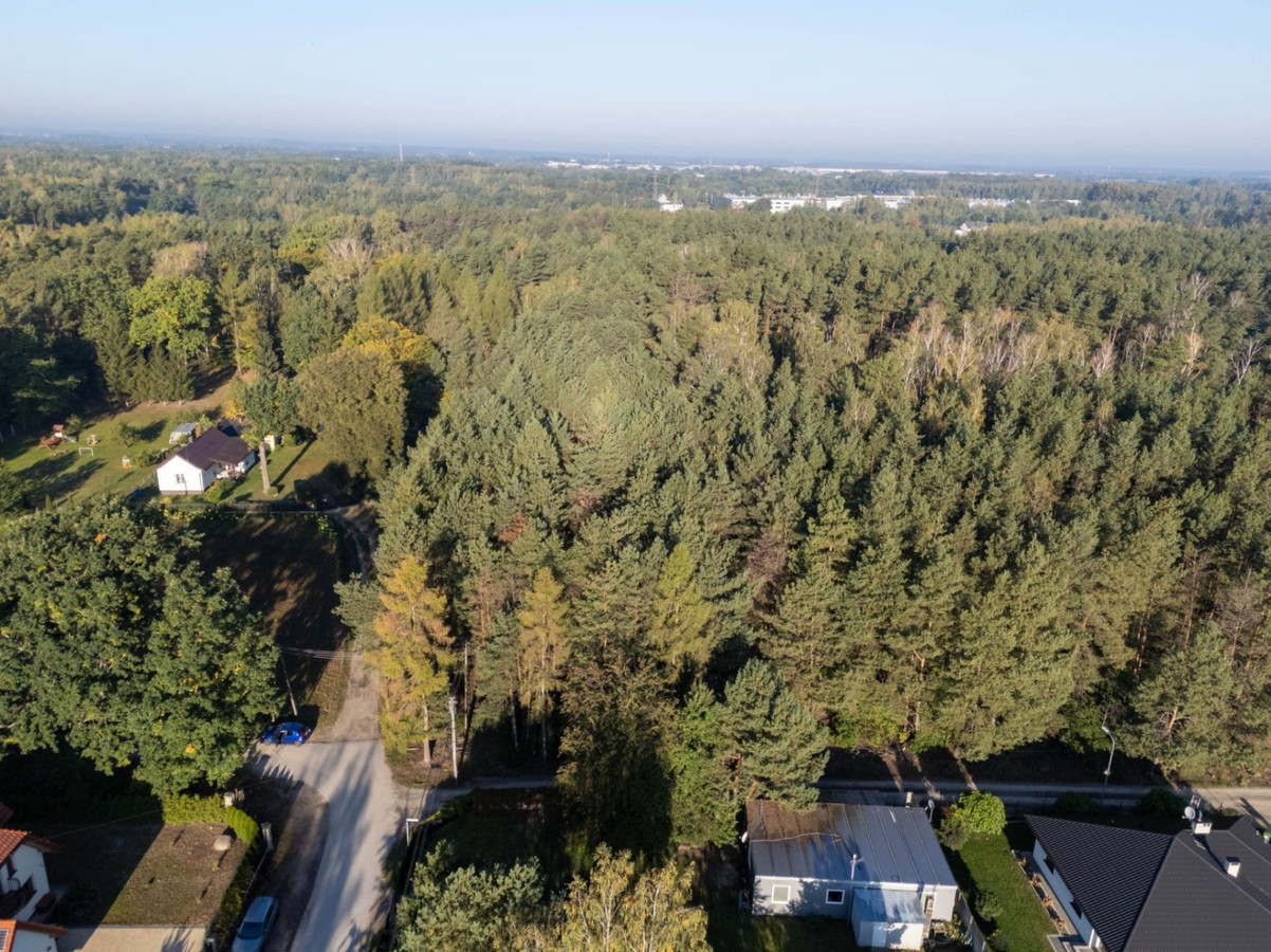 Mieszkowo | MPZP | Blisko trasy S7 | Drzewa i las - Widok 5