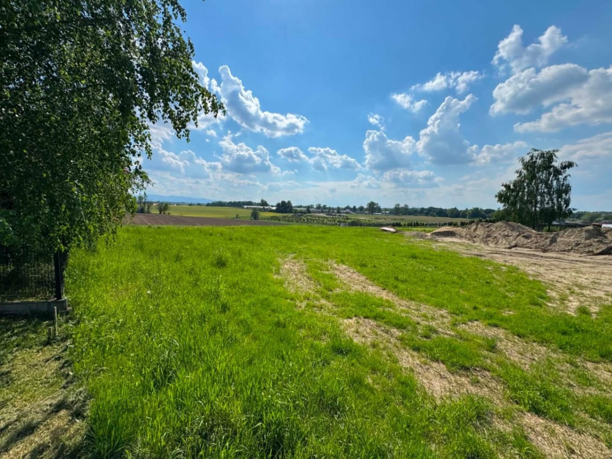 Uzbrojona i widokowa działka w Pisarzowicach - Widok 3