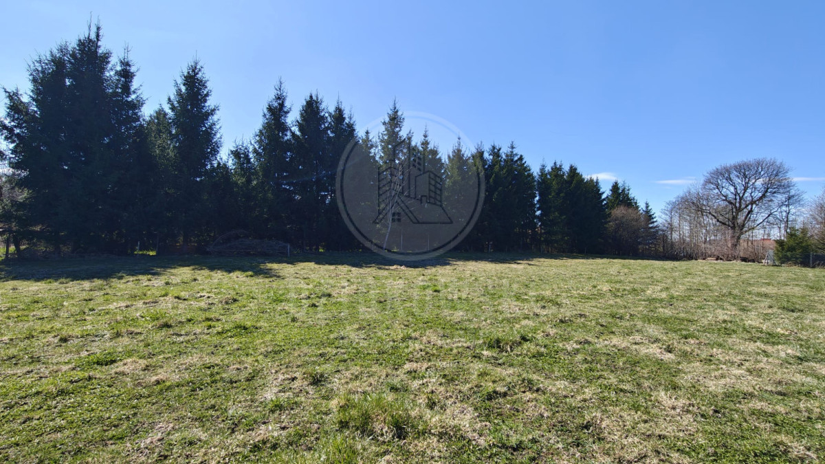 Działka budowlana z warunkami zabudowy – Mazury - Więcej