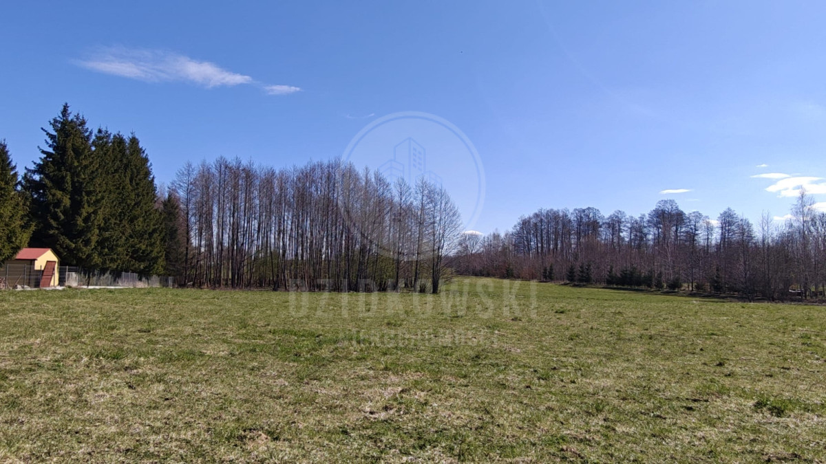 Działka budowlana z warunkami zabudowy – Mazury - Widok 5