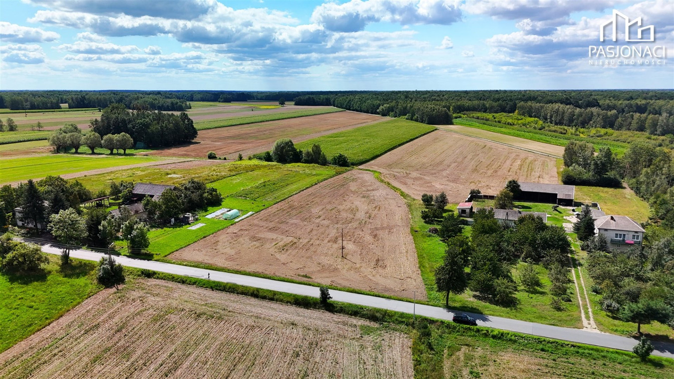 Dwie działki budowlane - Teodorów, gm. Policzna - Widok 5