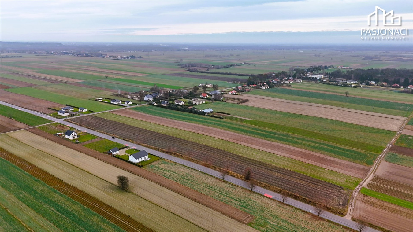Ciechanki - Działka budowlana - Widok 5