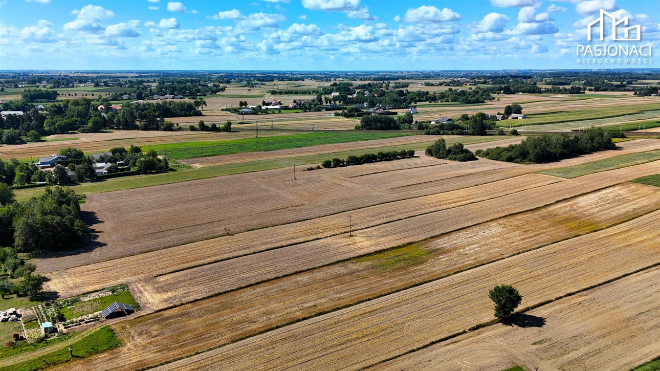 Działka rolna 6300 m² - Miłocin, gmina Jastków - Widok 4