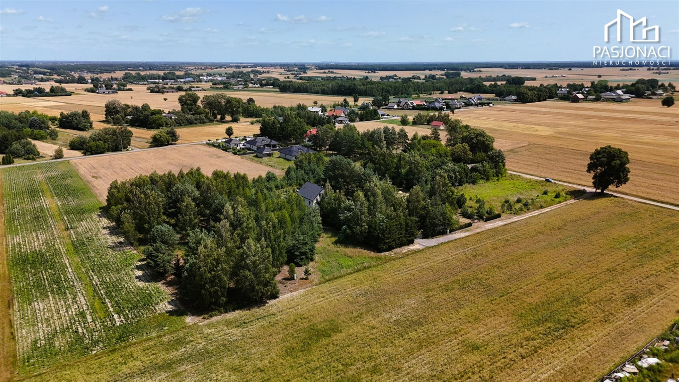Działka z drzewostanem - zabudowa jednorodzinna - Widok 2