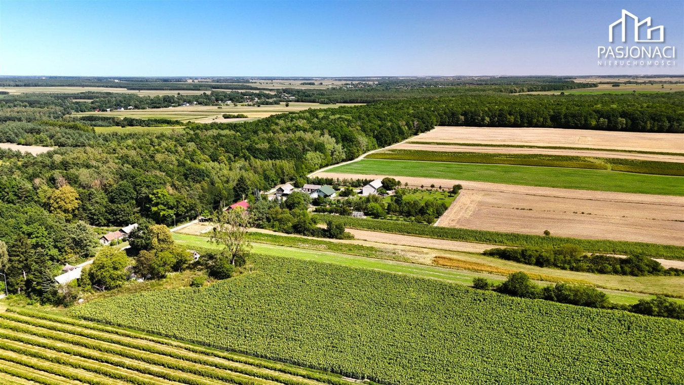 Działka siedliskowa wśród zieleni | 3999 m² - Widok 4