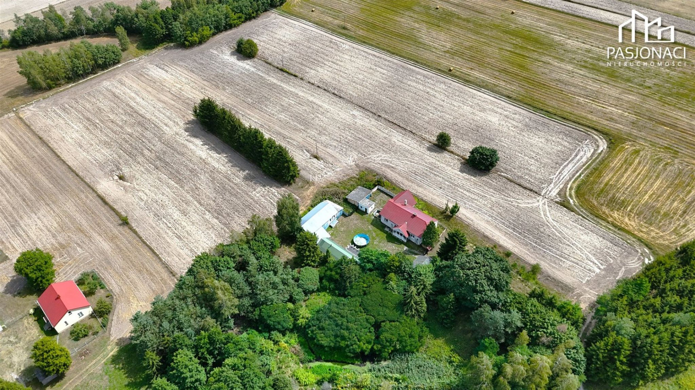 Dom – Białka-Kolonia - Więcej