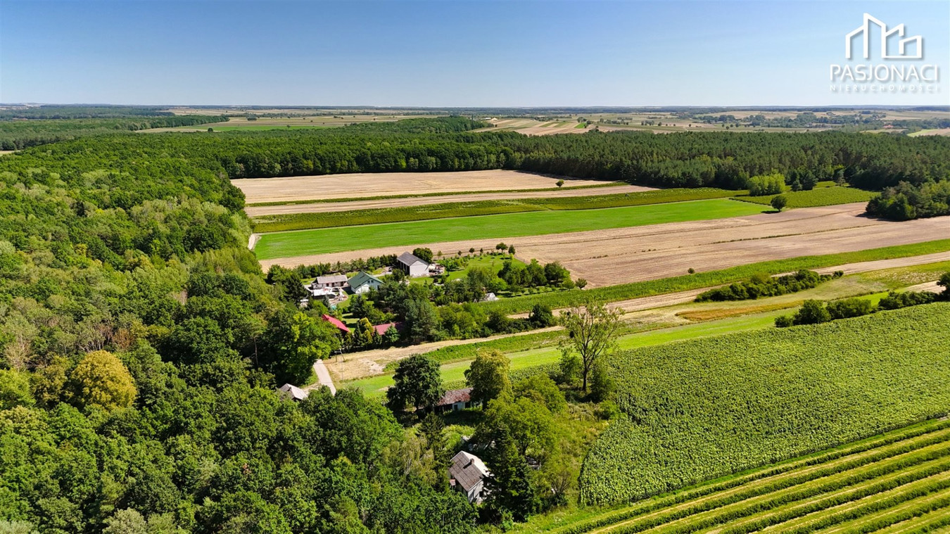 Działka siedliskowa wśród zieleni | 3999 m² - Widok 5