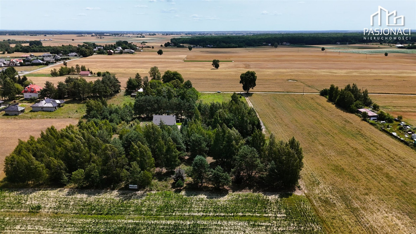 Działka z drzewostanem - zabudowa jednorodzinna - Więcej