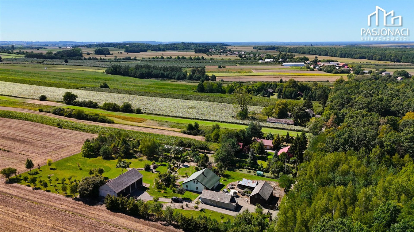 Działka siedliskowa wśród zieleni | 3999 m² - Więcej