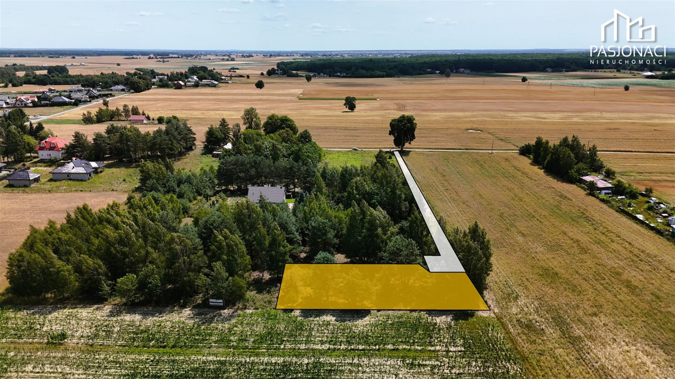 Działka z drzewostanem - zabudowa jednorodzinna - Widok 5