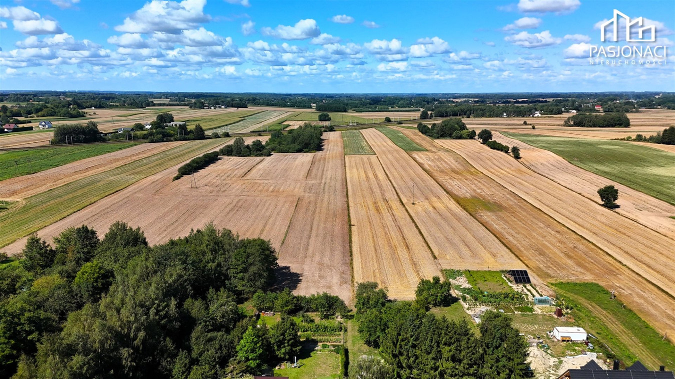 Działka rolna 6300 m² - Miłocin, gmina Jastków - Widok 5