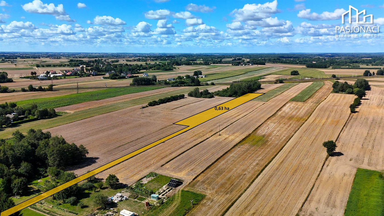 Działka rolna 6300 m² - Miłocin, gmina Jastków - Widok 2