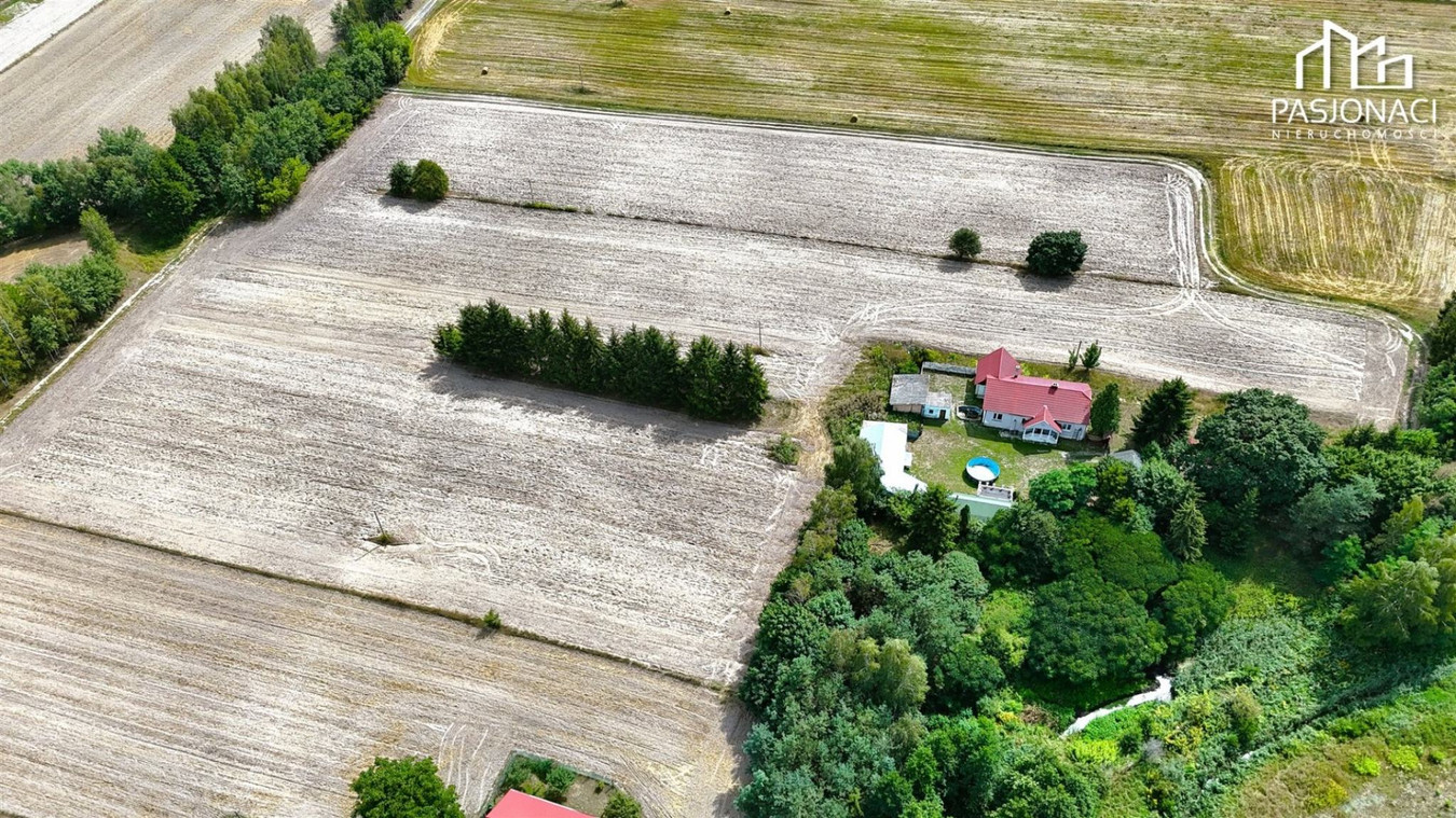 Dom – Białka-Kolonia - Widok 5