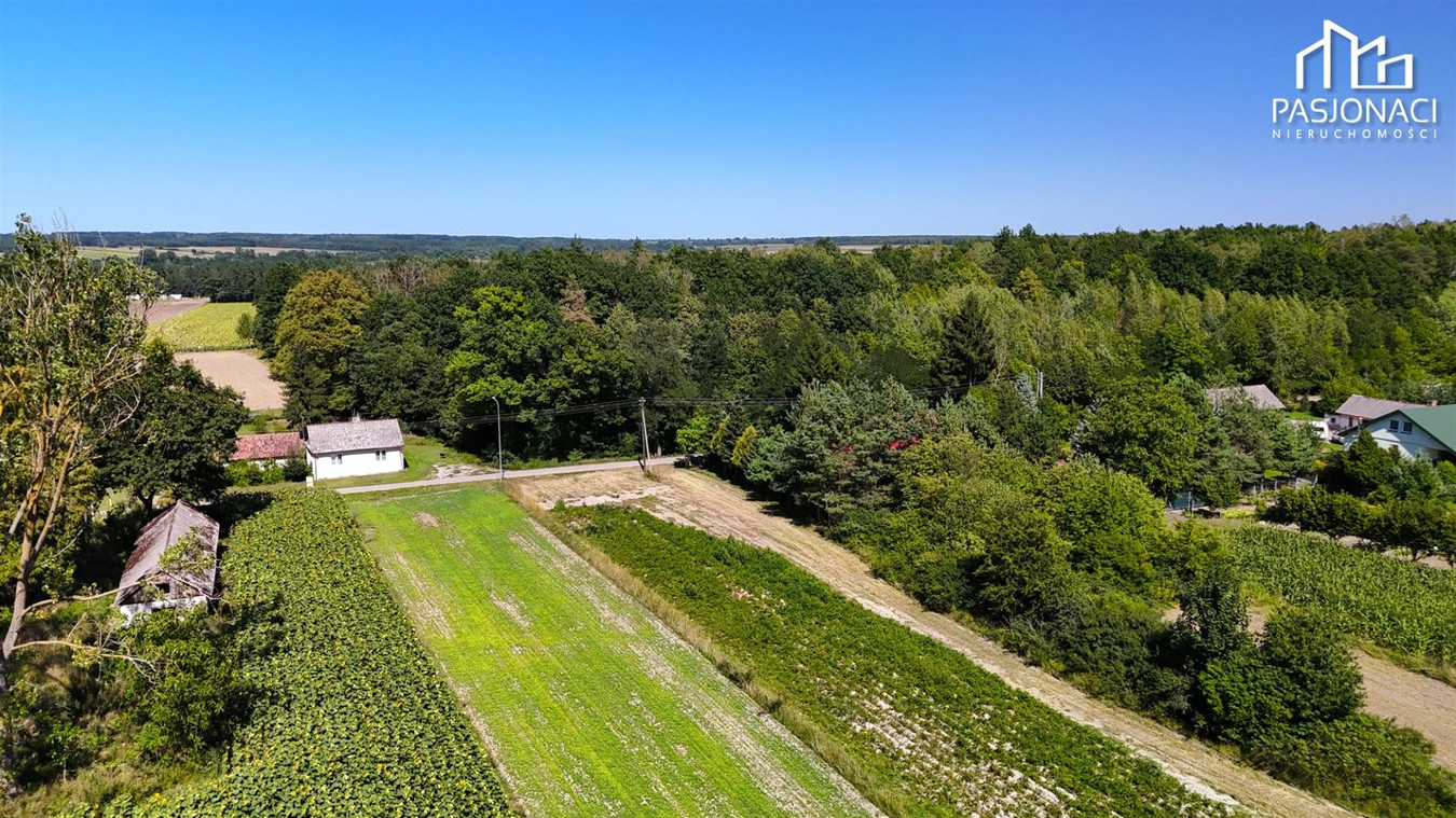Działka siedliskowa wśród zieleni | 3999 m² - Widok 2