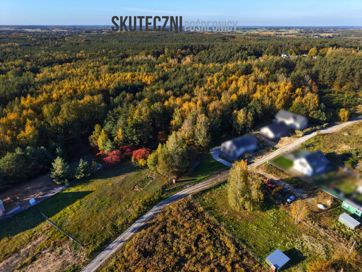 Działka z własnym lasem w Brzezinach - Widok 4