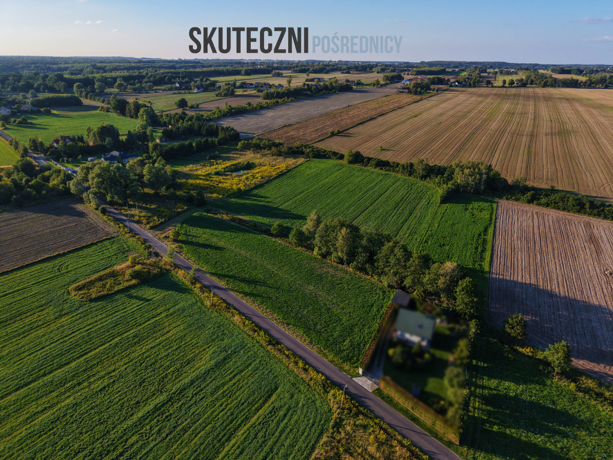Duża działka 1,6 ha w Adamowie z WZ - Więcej