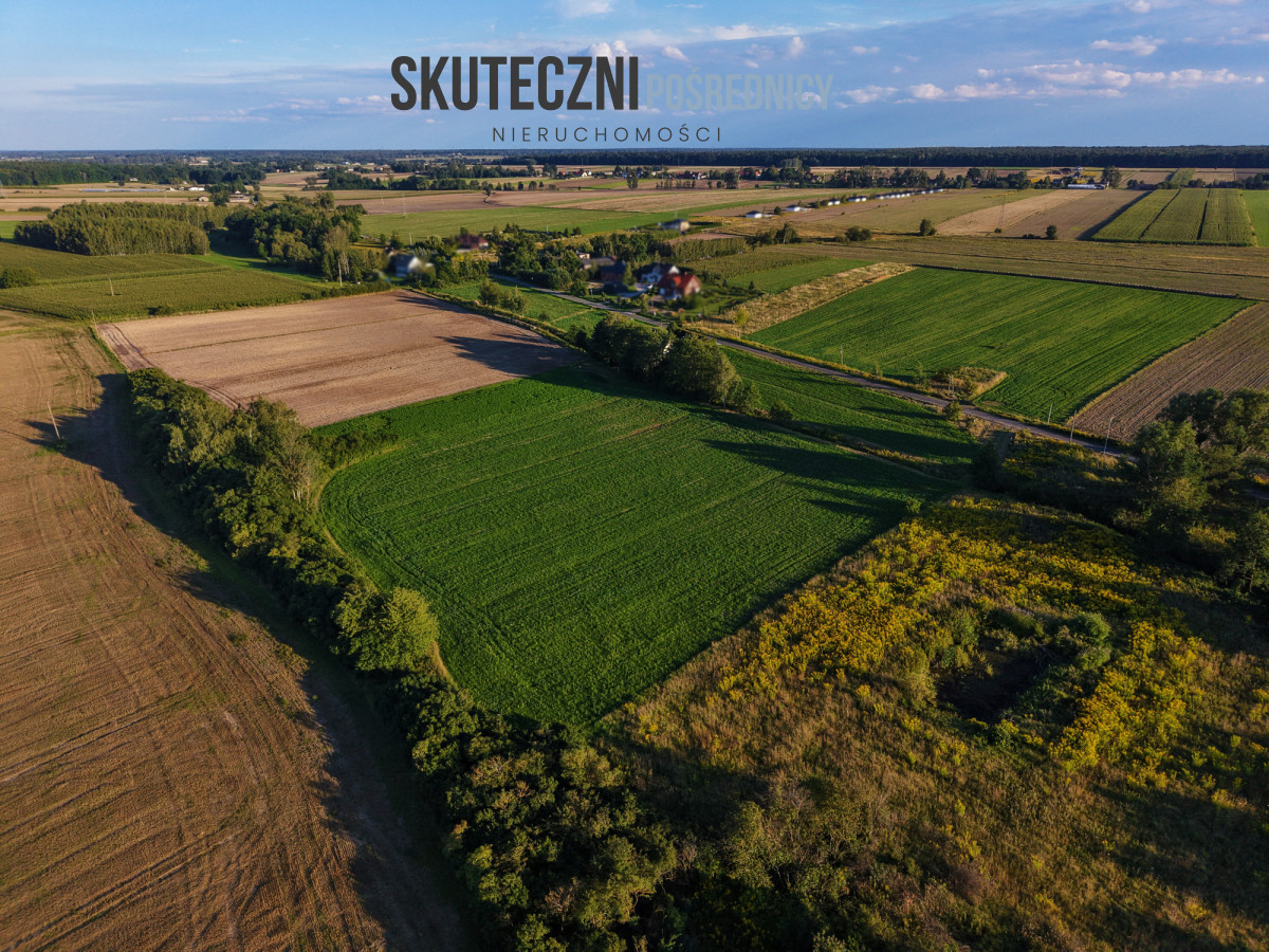 Duża działka 1,6 ha w Adamowie z WZ - Widok 3
