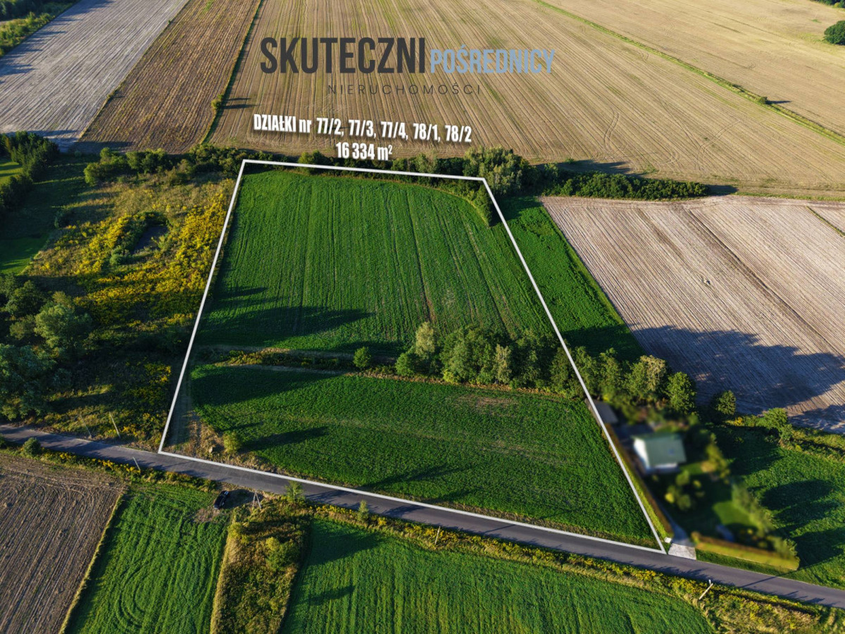 Duża działka 1,6 ha w Adamowie z WZ - Widok 4