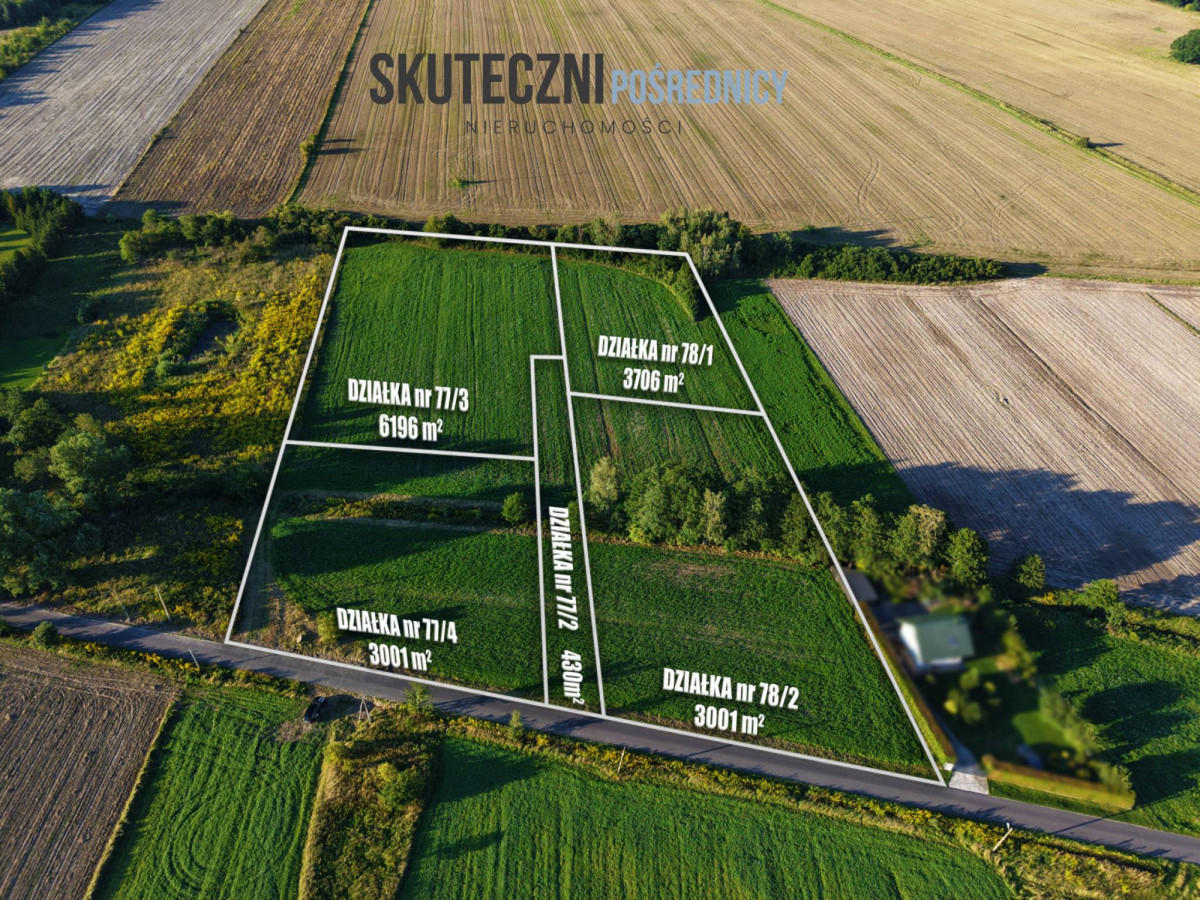 Duża działka 1,6 ha w Adamowie z WZ - Widok 2