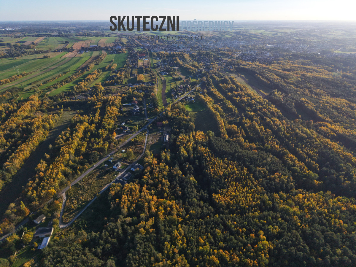 Działka z własnym lasem w Brzezinach - Więcej