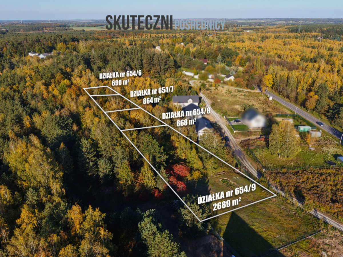 Działka z własnym lasem w Brzezinach - Widok 3