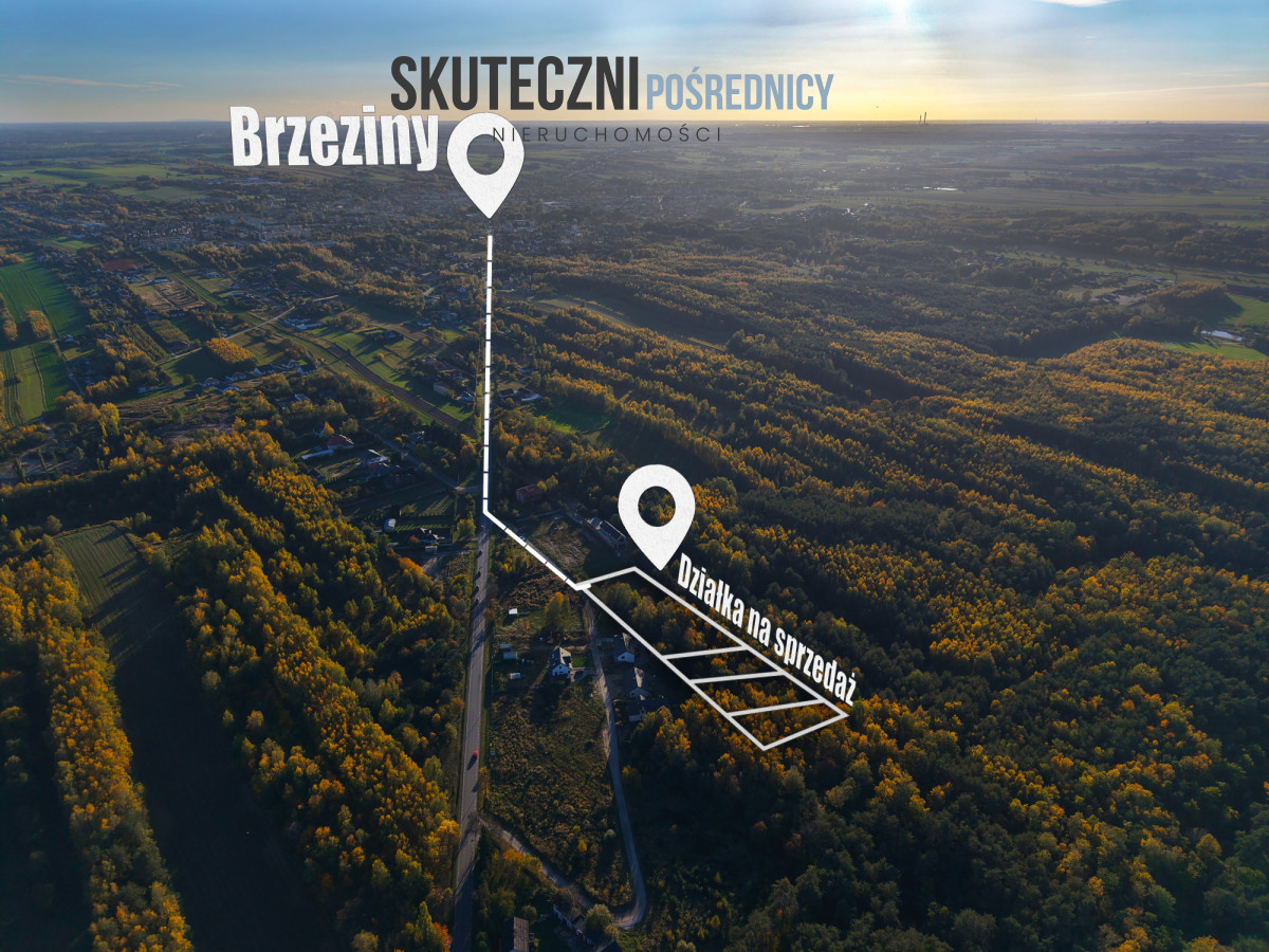 Działka z własnym lasem w Brzezinach - Widok 5