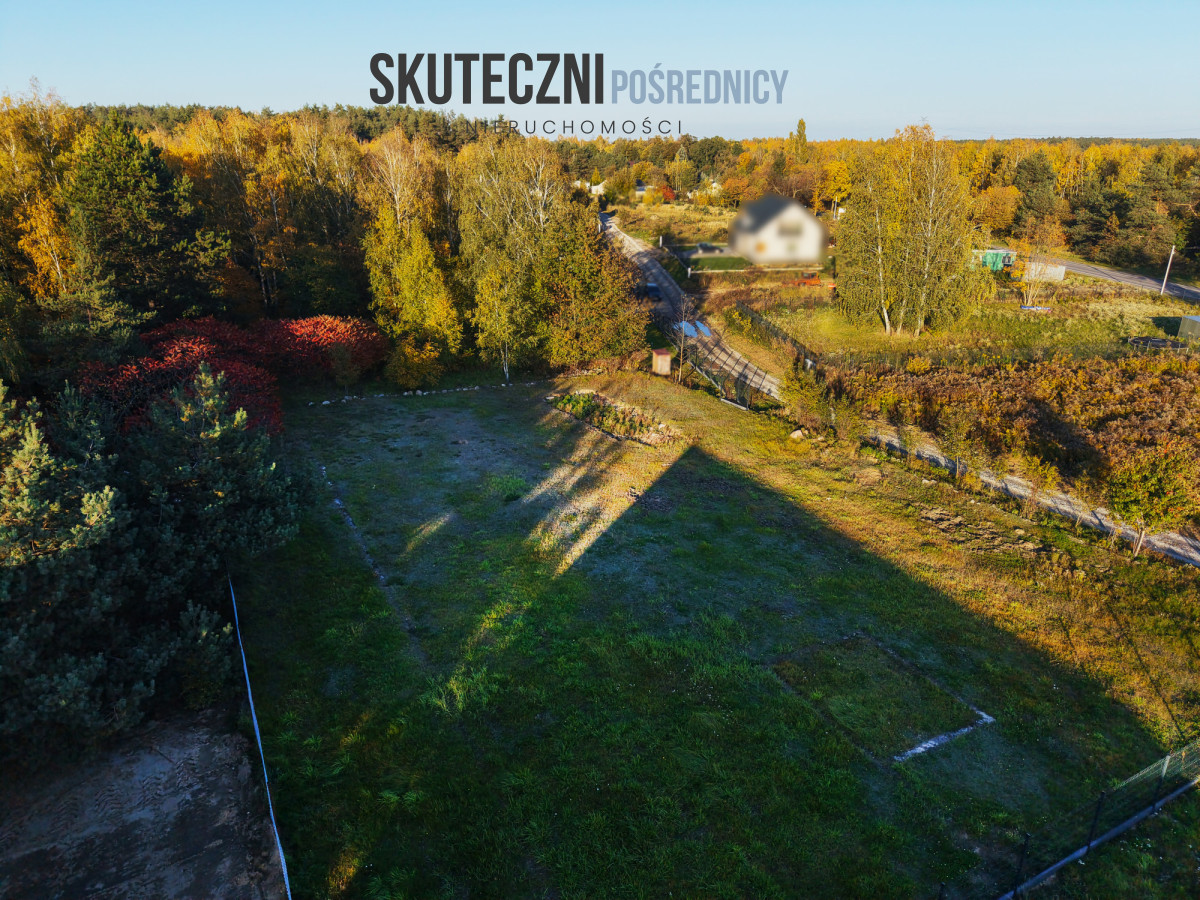 Działka z własnym lasem w Brzezinach - Widok 2
