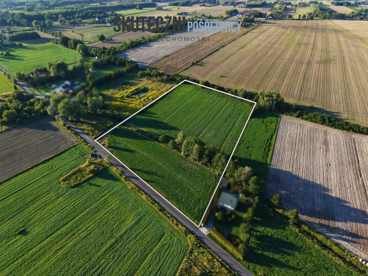 Duża działka 1,6 ha w Adamowie z WZ - Widok 5