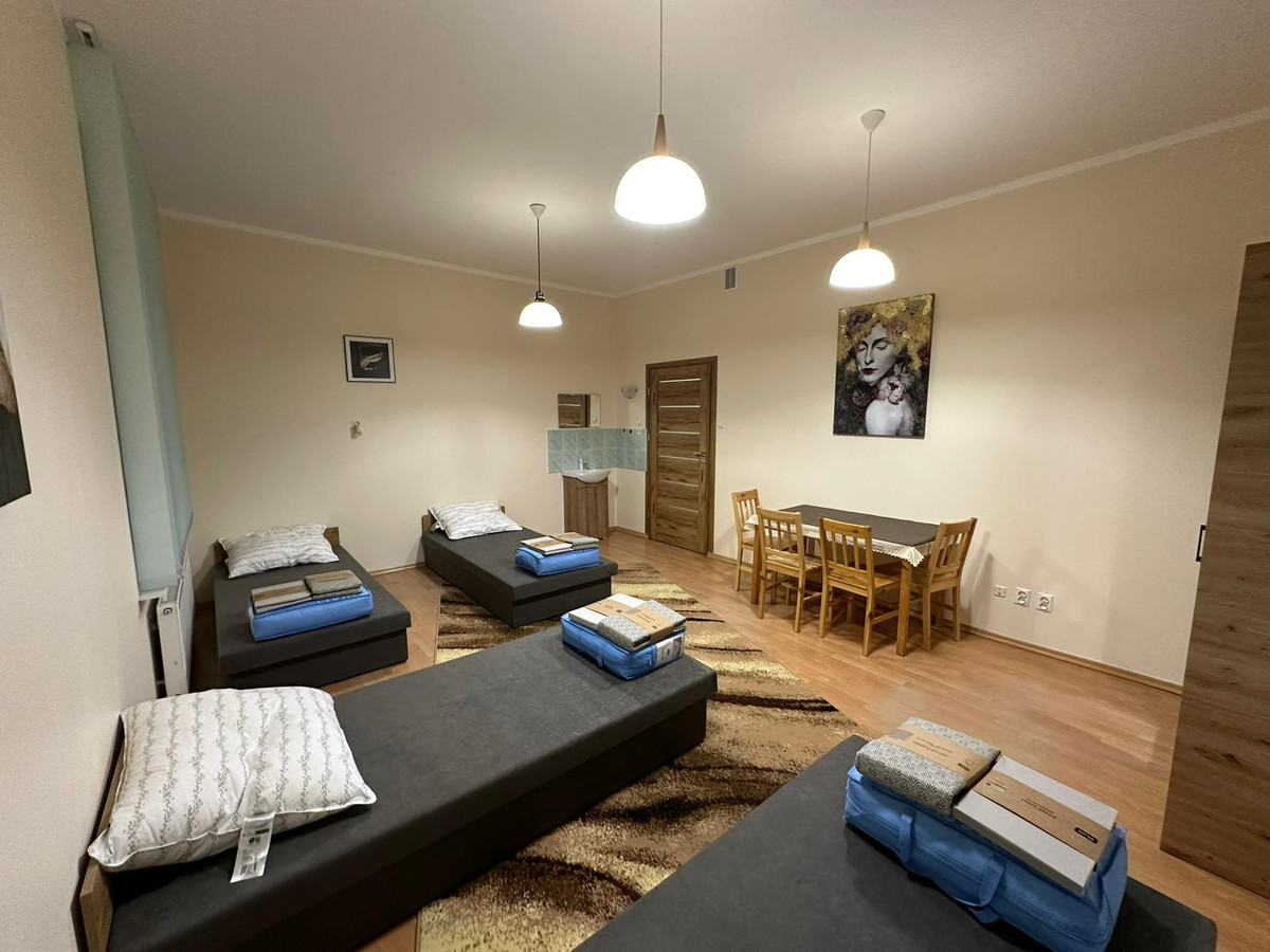Poznań – Fabianowo | 400 m² | 11 pokoi | inwestycja ATRAKCYJNA CENA - Widok 2
