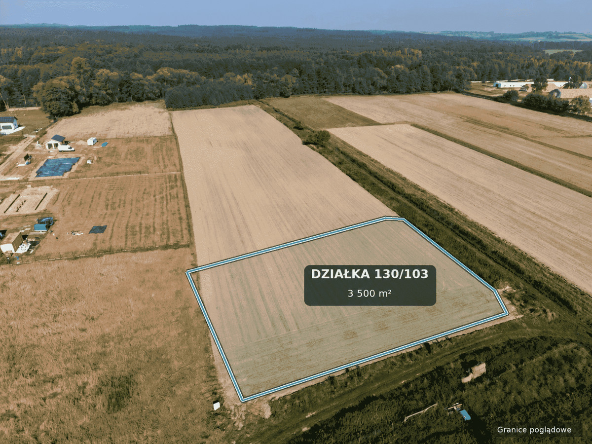 OZOROWICE | 3500 m² | DZIAŁKA BUDOWLANA | PRĄD NA DZIAŁCE | MPZP - Widok 5