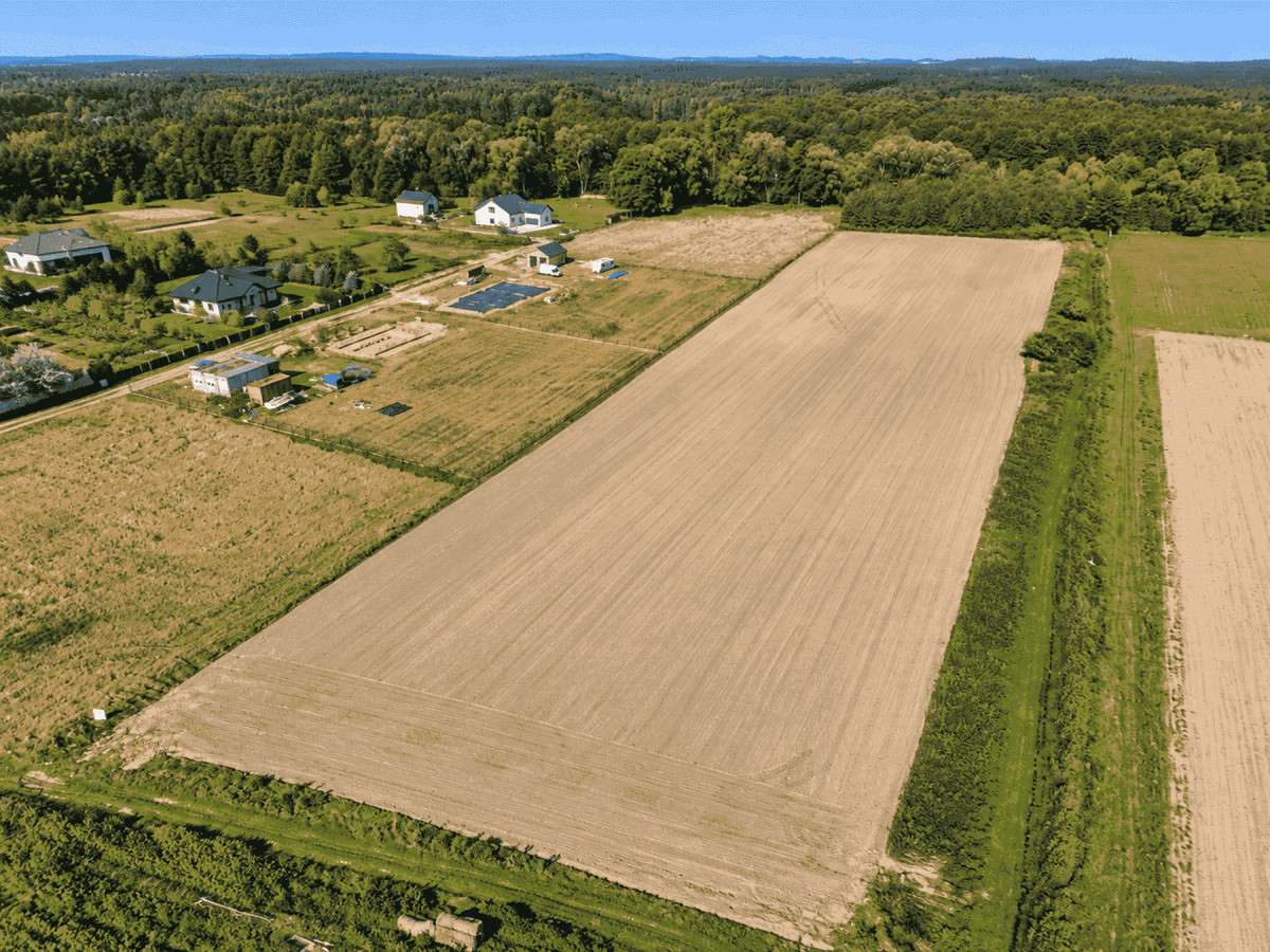 OZOROWICE | 3500 m² | DZIAŁKA BUDOWLANA | PRĄD NA DZIAŁCE | MPZP - Widok 4