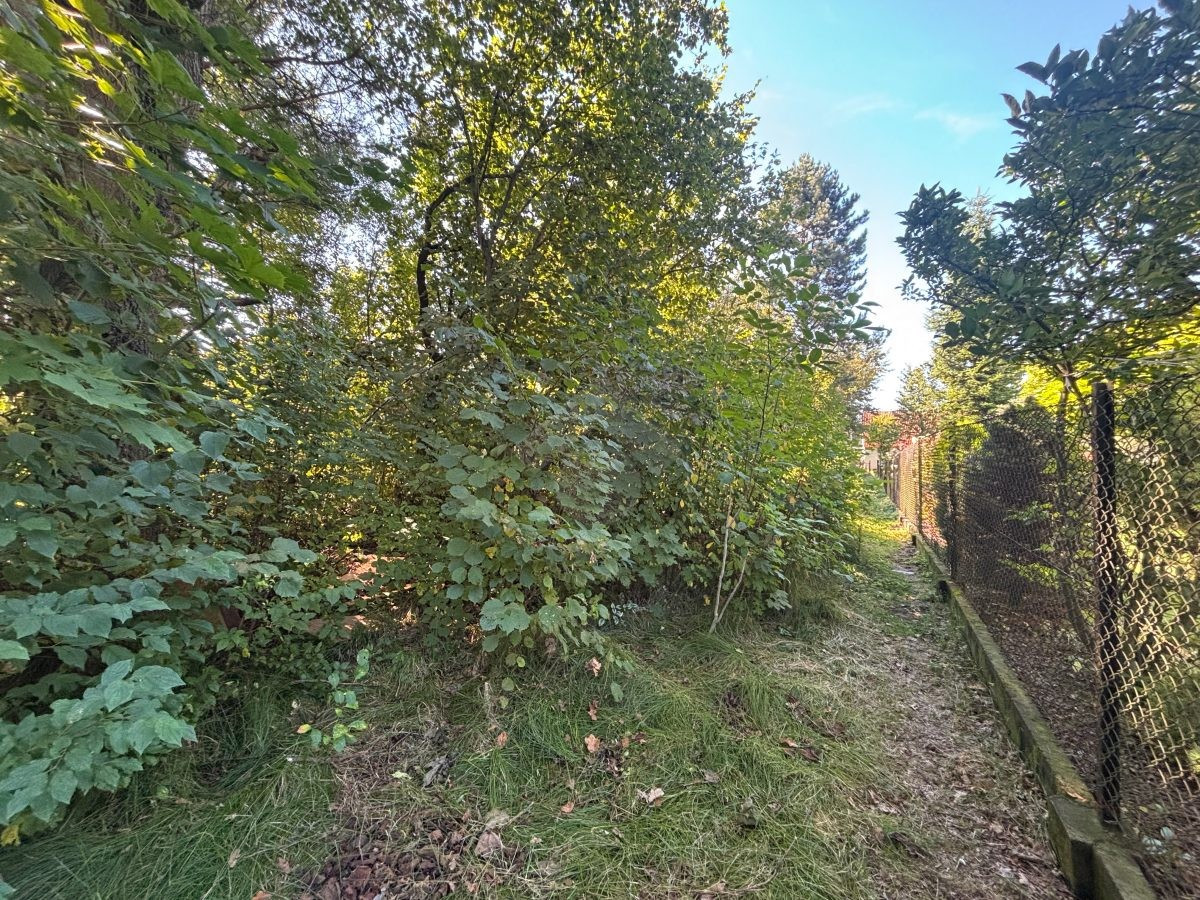 Działka Budowlana - Pow. Myślenicki - 15 min od Krakowa - 18 arów - Widok 5