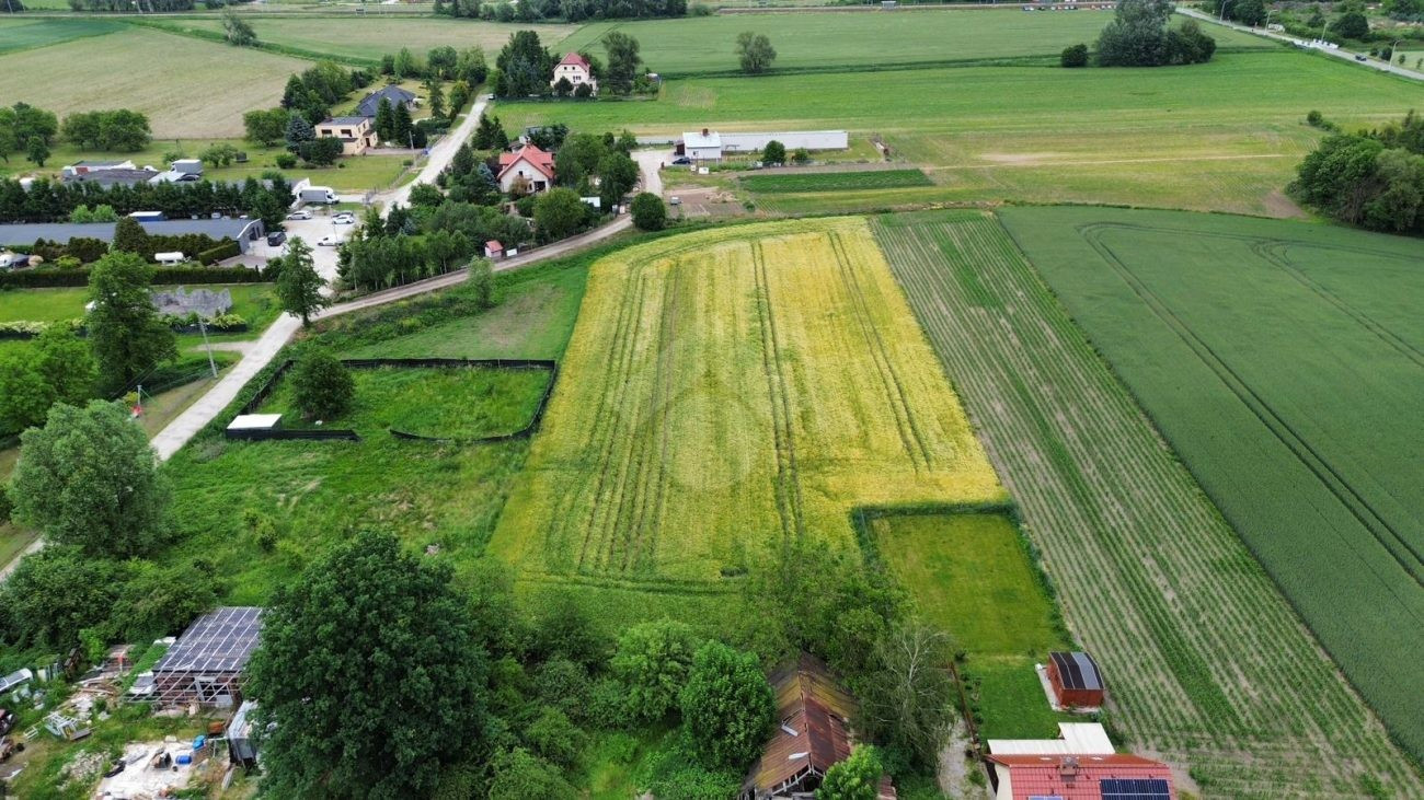 Duża działka pod zabudowę rodzinną. Możliwość podziału - Widok 3