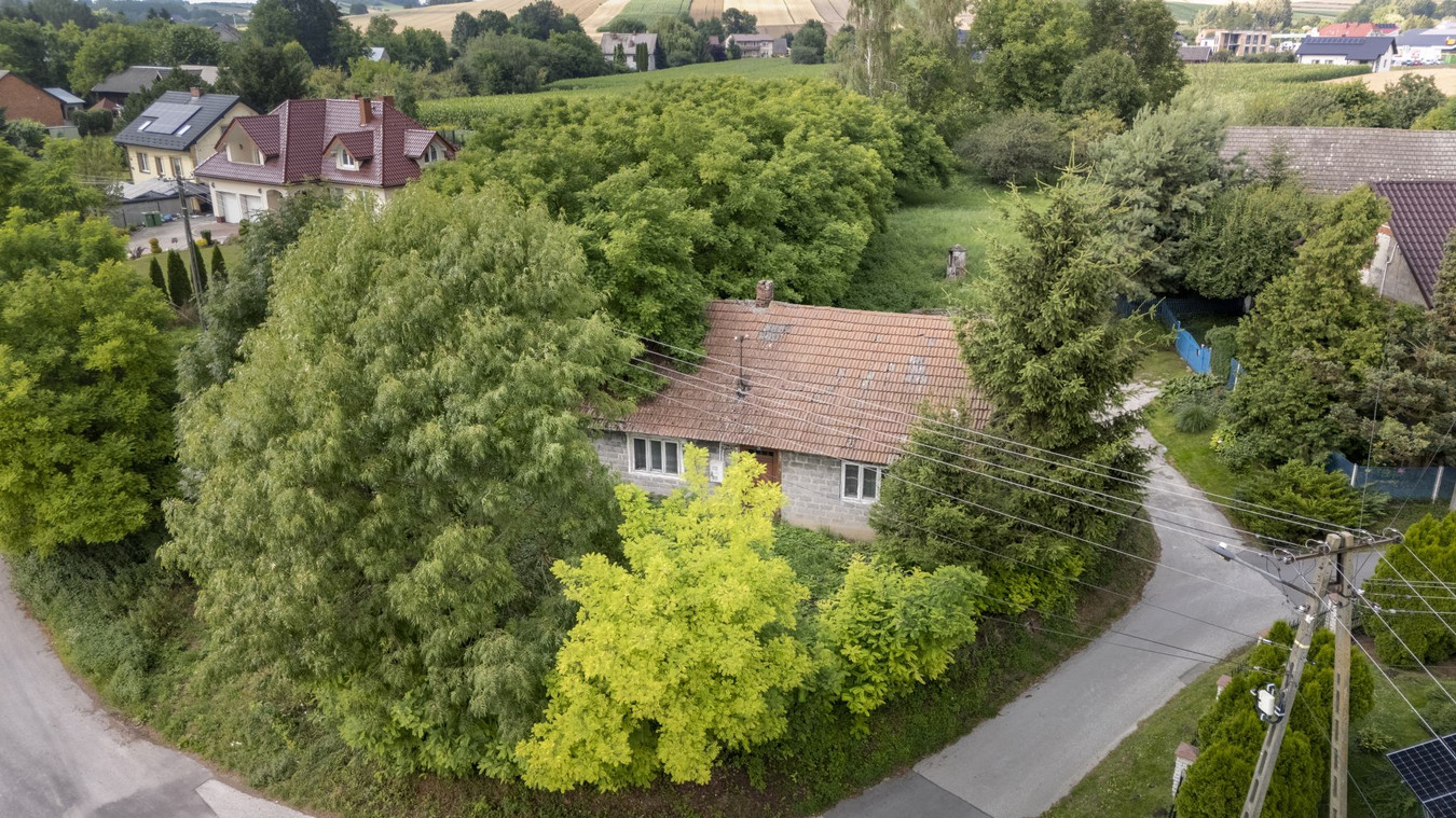 Działka budowlana 15,59 ar - Sokołowice/Koszyce - Widok 3