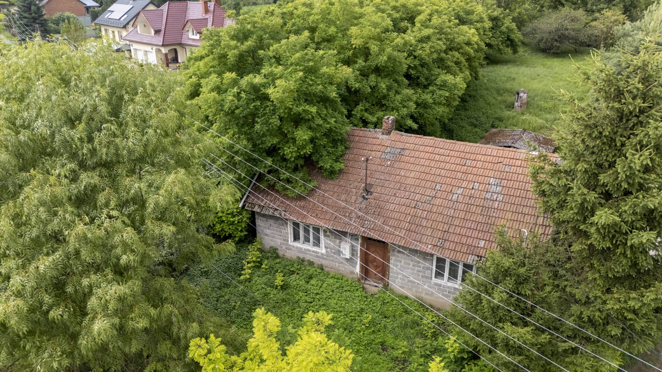 Działka budowlana 15,59 ar - Sokołowice/Koszyce - Więcej