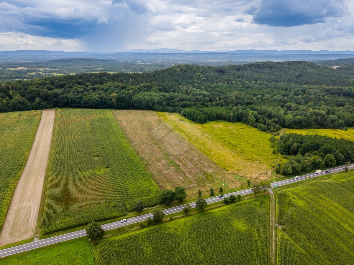 Działka rolna o powierzchni 2,6 ha - Widok 3