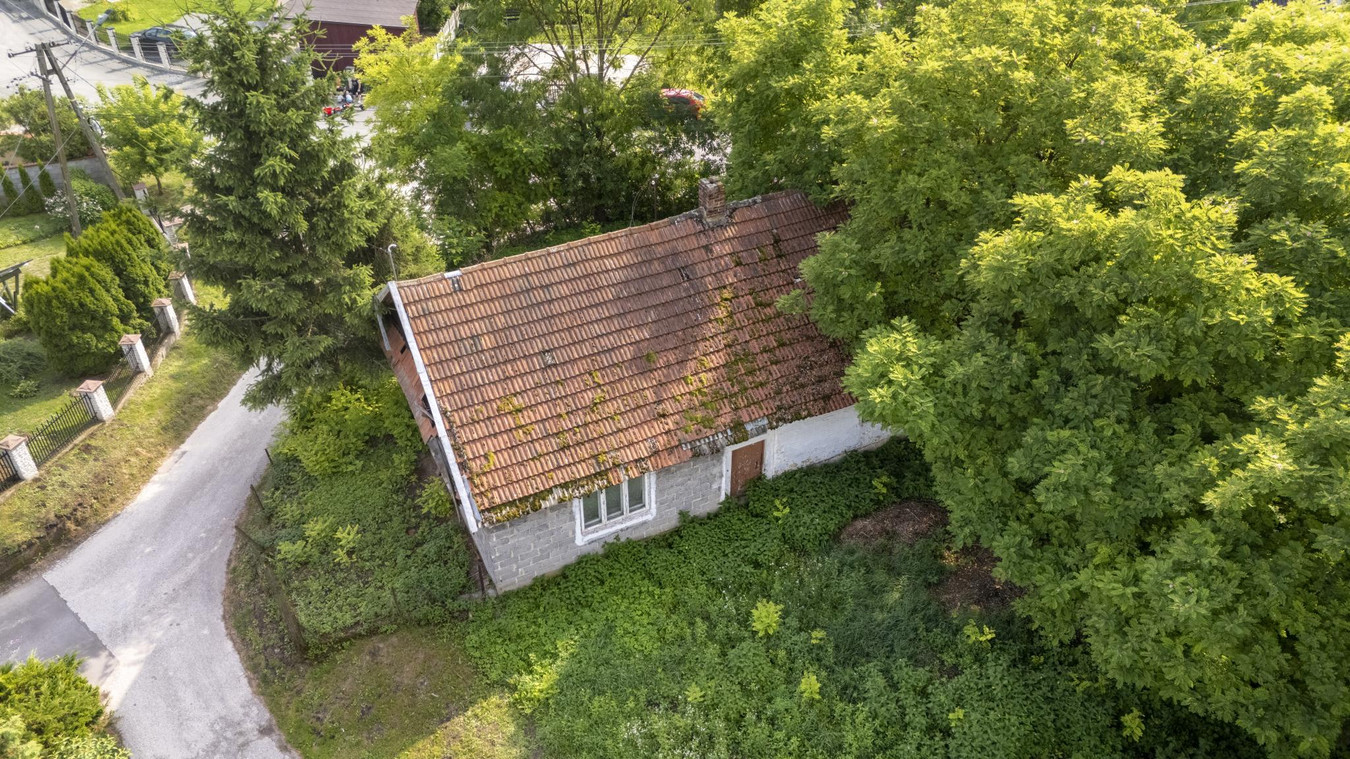 Działka budowlana 15,59 ar - Sokołowice/Koszyce - Widok 4