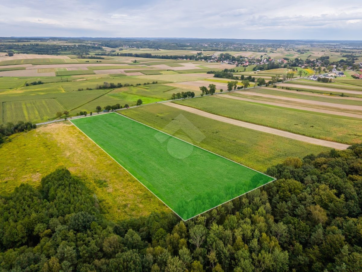 Działka rolna o powierzchni 2,6 ha - Widok 2
