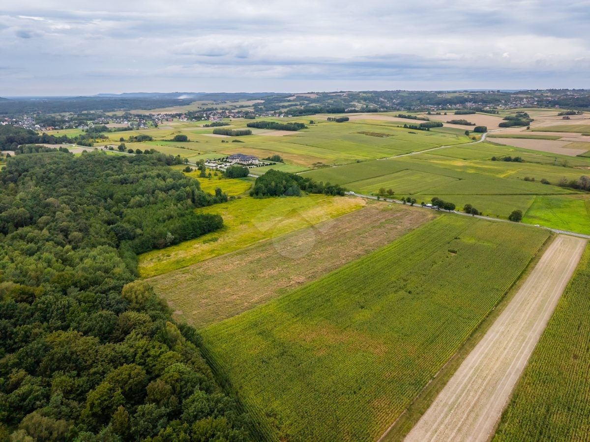 Działka rolna o powierzchni 2,6 ha - Widok 4