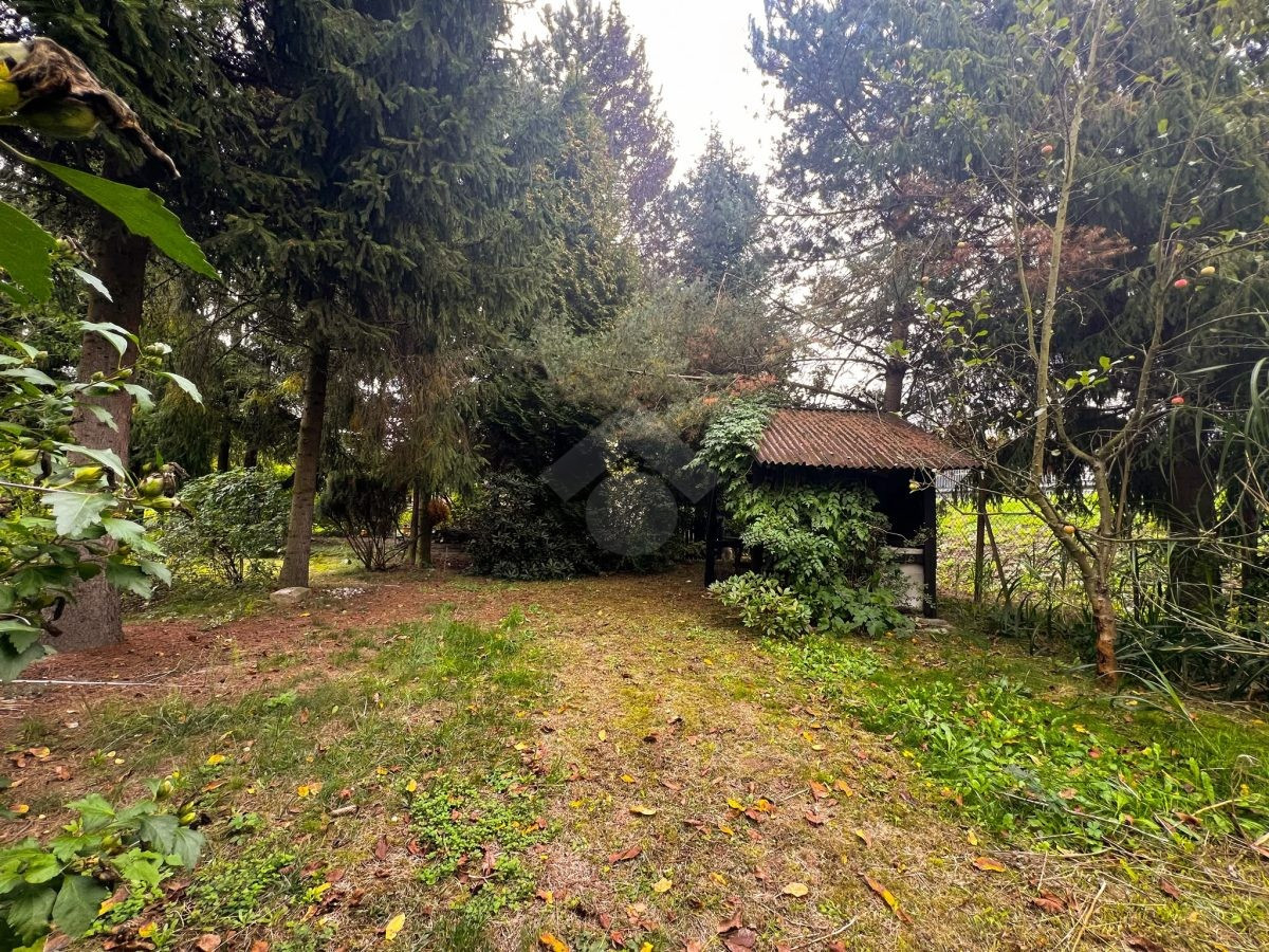 | Działka ROD | Pod Wierzbami | 3,79 ara| z altaną | - Widok 2