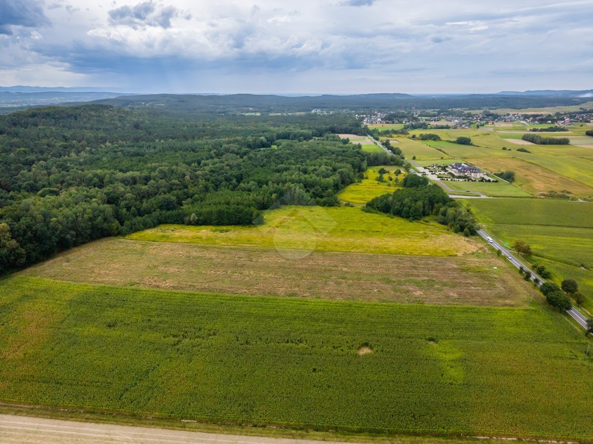 Działka rolna o powierzchni 2,6 ha - Widok 5