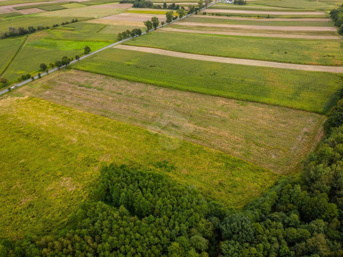 Działka rolna o powierzchni 2,6 ha - Więcej