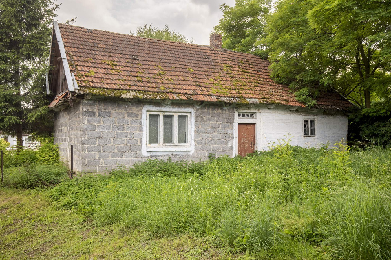 Działka budowlana 15,59 ar - Sokołowice/Koszyce - Widok 5